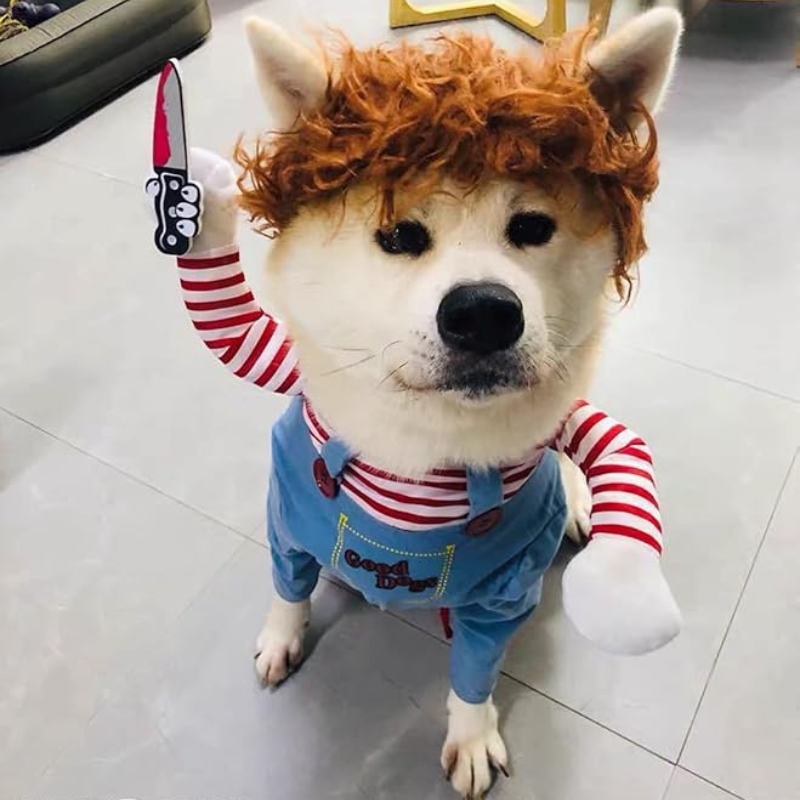 Chucky Dog Costume