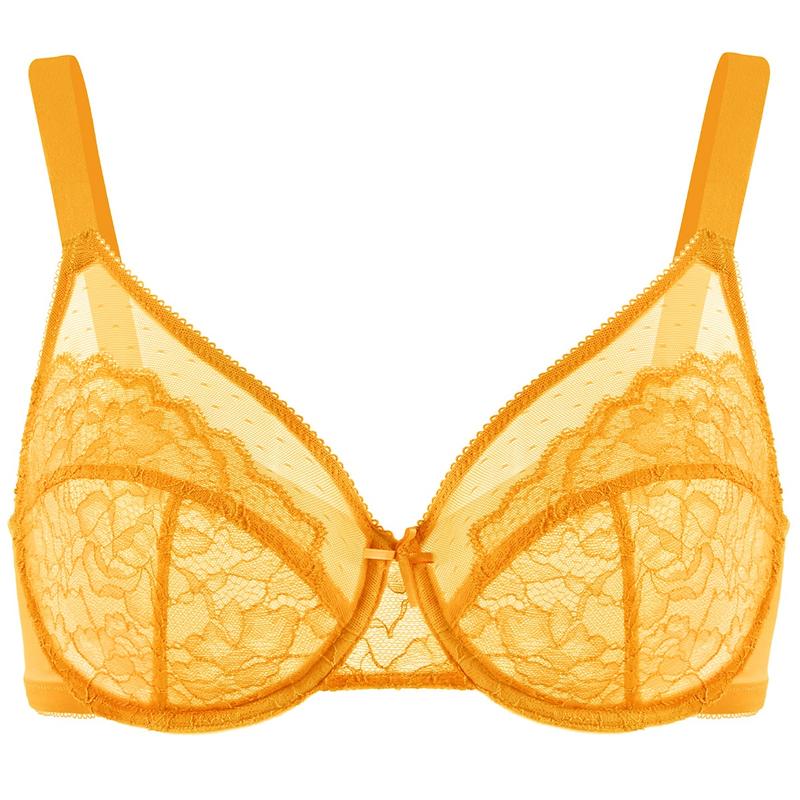 Secret Plunge Underwire Bras